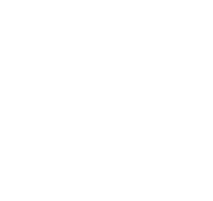 描述
