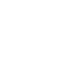 描述